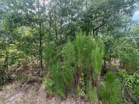lot S 103-5 Harlem St, Beech Island, SC 29842