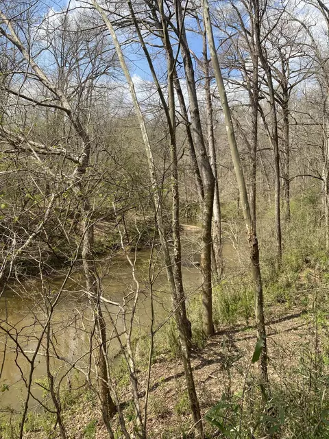 tbd Walker Rd, Edgefield, SC 29824