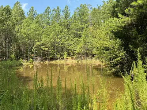tbd Walker Rd, Edgefield, SC 29824 photo 2