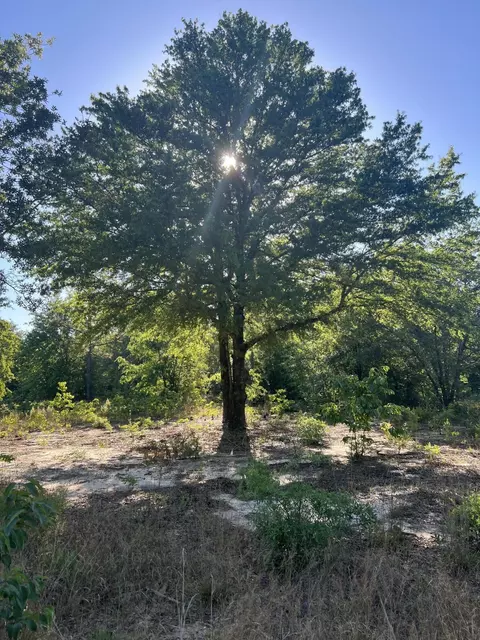 00 Pearl Bonnet Rd, Windsor, SC 29856