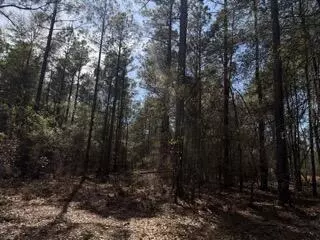 tbd Yale St, Salley, SC 29137 photo 7