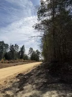 tbd Yale St, Salley, SC 29137 photo 3