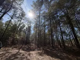 tbd Yale St, Salley, SC 29137 photo 8