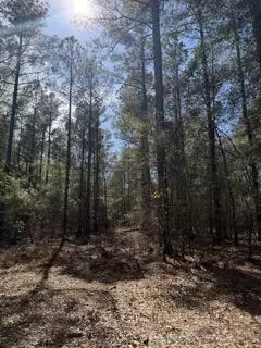 tbd Yale St, Salley, SC 29137 photo 6