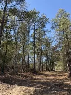 tbd Yale St, Salley, SC 29137 photo 2
