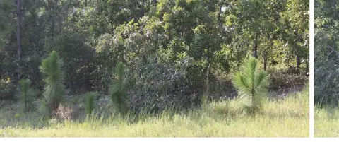 tbd Callaway Dr, Graniteville, SC 29829