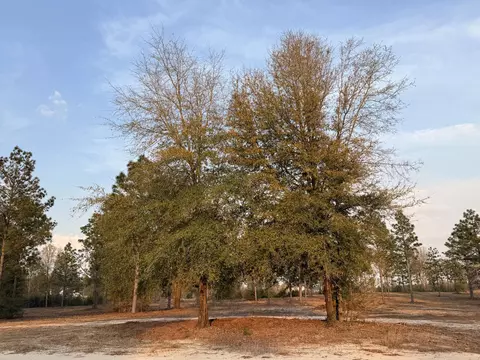 734 State Park Rd, Windsor, SC 29856 photo 10
