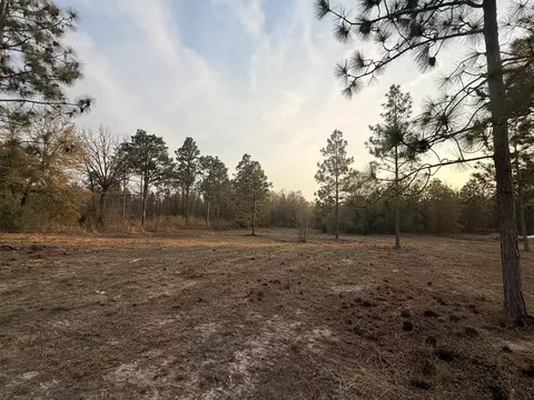 734 State Park Rd, Windsor, SC 29856 photo 7