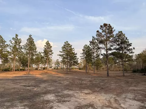 734 State Park Rd, Windsor, SC 29856 photo 2