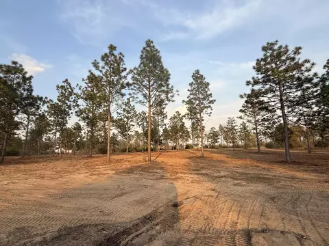 734 State Park Rd, Windsor, SC 29856 photo 5