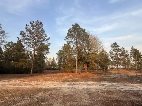 734 State Park Rd, Windsor, SC 29856 photo 9