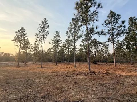 734 State Park Rd, Windsor, SC 29856 photo 6