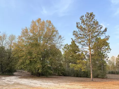 734 State Park Rd, Windsor, SC 29856 photo 8
