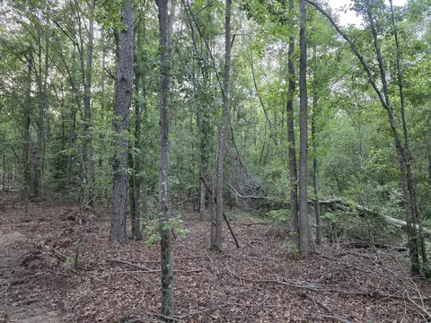 20 Acres Bradleyville Rd, North Augusta, SC 29841
