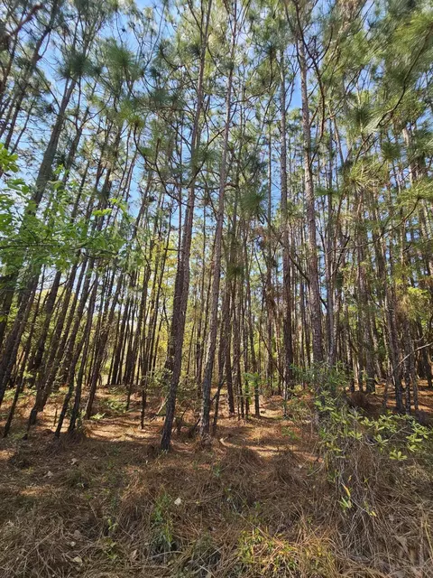 lot11 A Summer Place Dr, Aiken, SC 29801