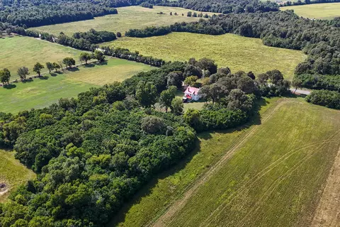 View/Area - 357 Williston Rd, Beech Island, SC 29842 photo 2 of 5