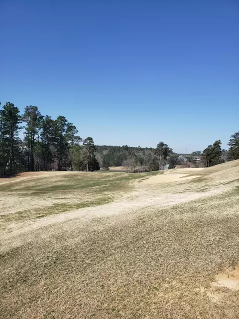 543 W Pleasant Colony Dr #LOT 290, Aiken, SC 29803