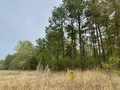 0 Goose Platter Rd, Monetta, SC 29105
