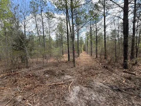 1 Mount Calvary Road #CVA 1, Ridge Spring, SC 29129