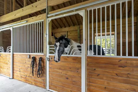 Other - 4097 Snaffle Bit Dr, Aiken, SC 29803 photo 13 of 23