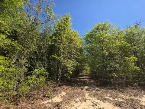lot3 Briarwood Dr, Williston, SC 29853