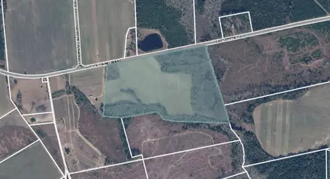 tbd Fire Tower Rd, Springfield, SC 29146