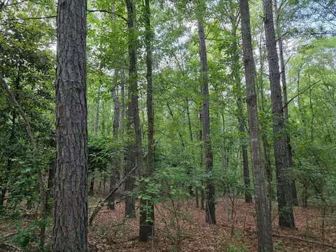 3 Woodberry Rd # A, North Augusta, SC 29841