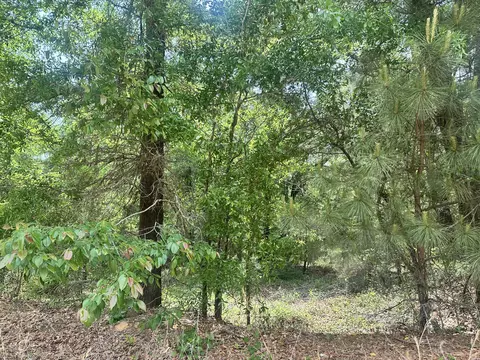 lot10 Warbonnet Rd, Springfield, SC 29146