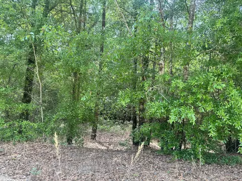 lot11 Warbonnet Rd, Springfield, SC 29146