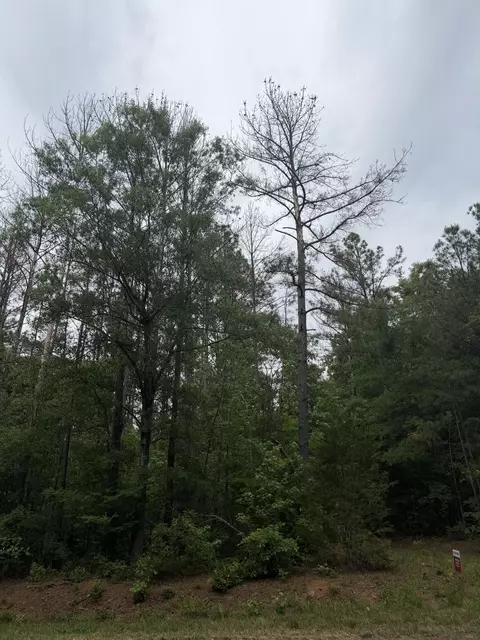 tbd Pine Valley Dr, Edgefield, SC 29824
