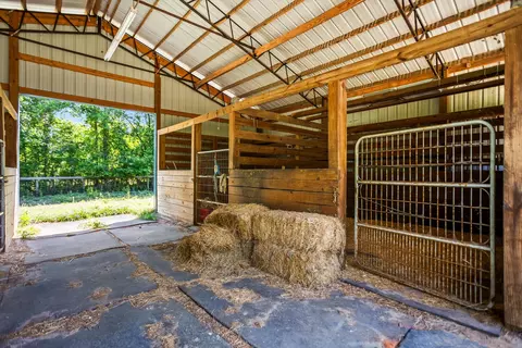 289 Beck Rd, Williston, SC 29853 photo 25