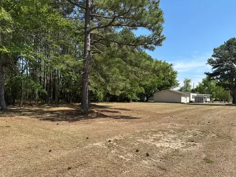 1030 Cook St, Manning, SC 29102 photo 29