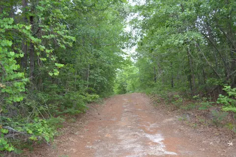 00 Old Barnwell Rd, Windsor, SC 29856