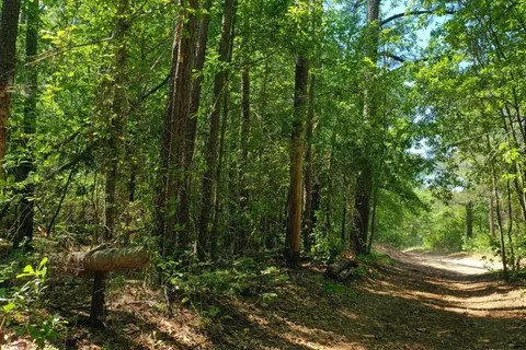 0 Mccain Rd, North Augusta, SC 29860