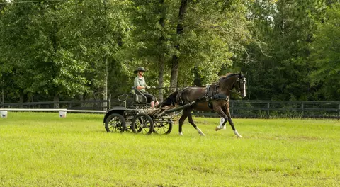 Other - 220 Tandem Trl, Windsor, SC 29856 photo 14 of 18