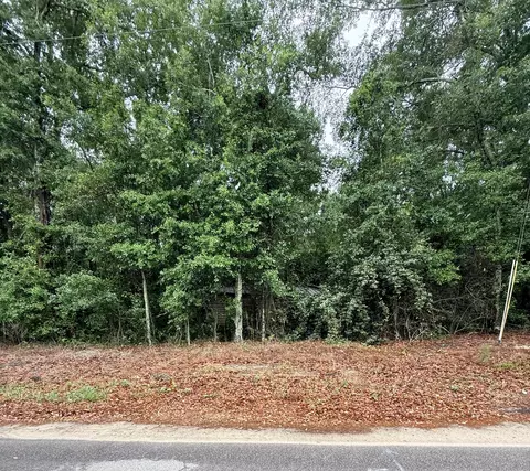 0 Alma Dr #0, North, SC 29112