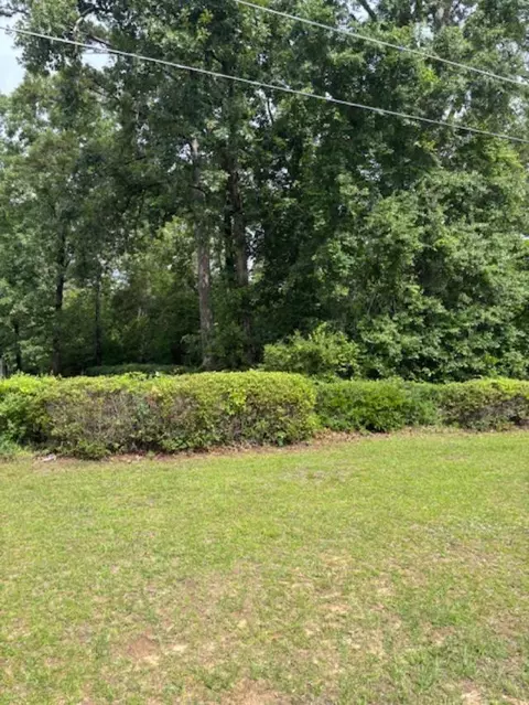 000 Sc Hwy 3, Barnwell, SC 29812 photo 3