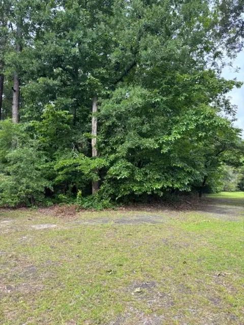 000 Sc Hwy 3, Barnwell, SC 29812 photo 2