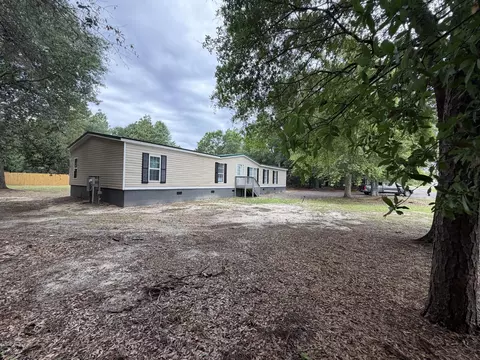 645 S Carolina 64, Olar, SC 29843 photo 4