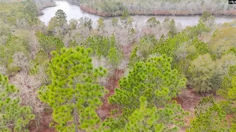 0 Browns Pond Rd, Wagener, SC 29164