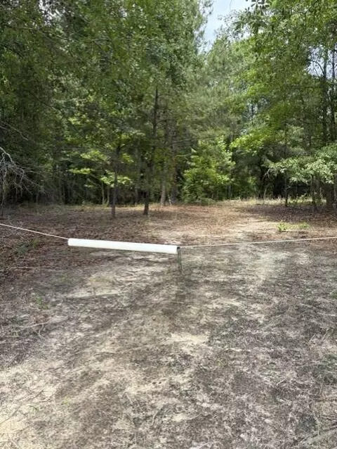 0 Cemetery Rd, Elko, SC 29826
