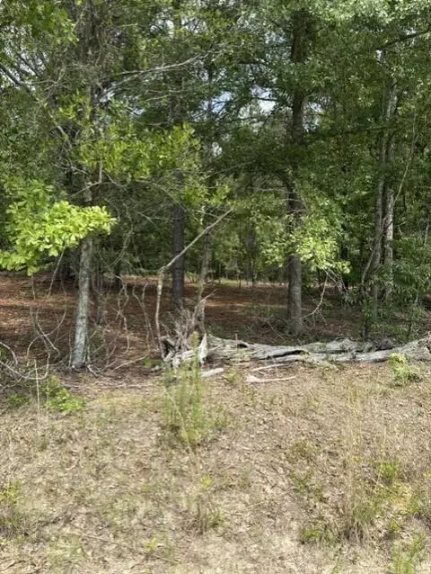 0 Cemetery Rd, Elko, SC 29826 photo 4
