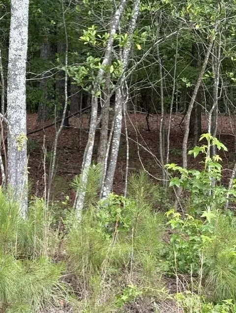 0 Cemetery Rd, Elko, SC 29826 photo 2