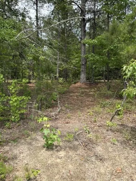 0 Cemetery Rd, Elko, SC 29826 photo 7