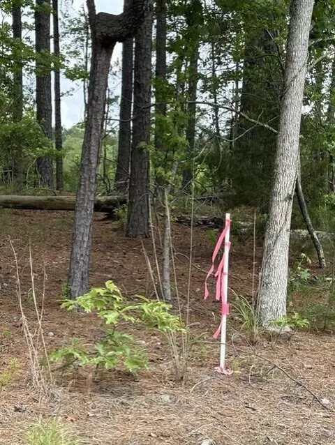 0 Cemetery Rd, Elko, SC 29826 photo 6