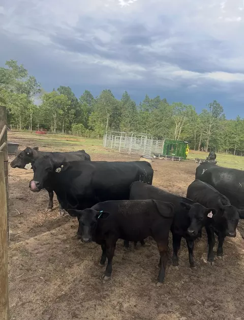 Other - 520 E Frontage Rd, Aiken, SC 29805 photo 7 of 9