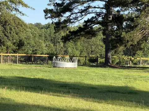 Exterior - 1412 Mccreight Rd, Ridge Spring, SC 29129 photo 4 of 6