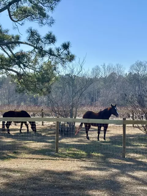 Other - 1412 Mccreight Rd, Ridge Spring, SC 29129 photo 3 of 10
