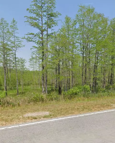 11430 Main Hwy, Olar, SC 29843