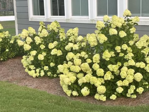 Exterior - 8285 Covert Dr, Aiken, SC 29803 photo 26 of 28